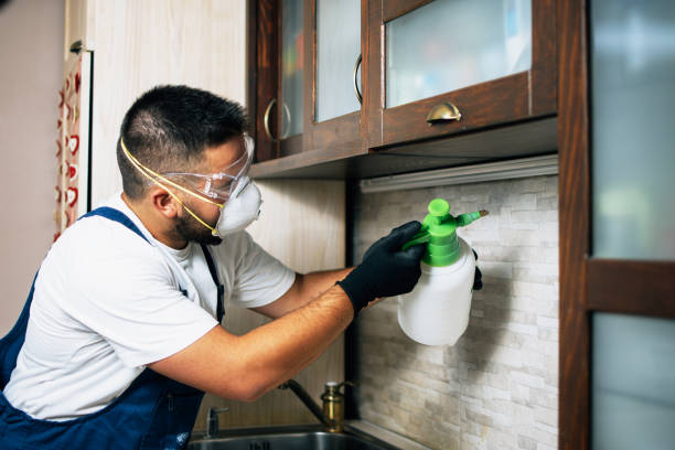 Best Ant Control Services  in Oriska, NY
