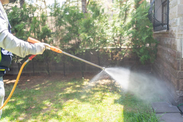 Best Pest Inspection Near Me  in Oriska, NY