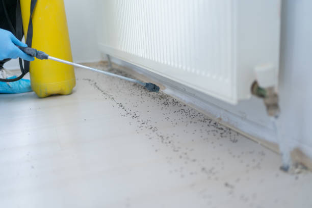 Best Wildlife Control Services  in Oriska, NY