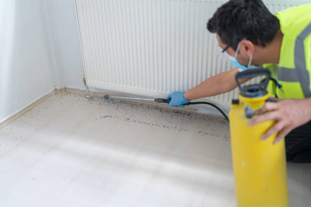Best Commercial Pest Control Services  in Oriska, NY